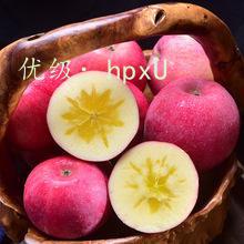 ǧ
