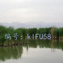 ļ
