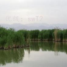 ļ