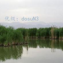 ļ