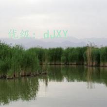 ̨