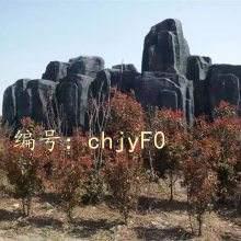 Ц