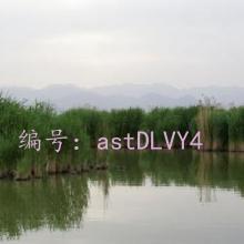 ļ