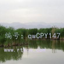 ļ