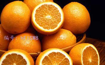 ṹ